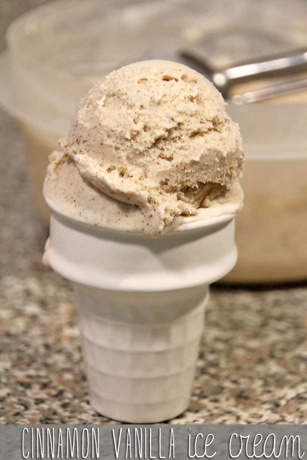 cinnamon ice cream made with a vanilla ice cream recipe