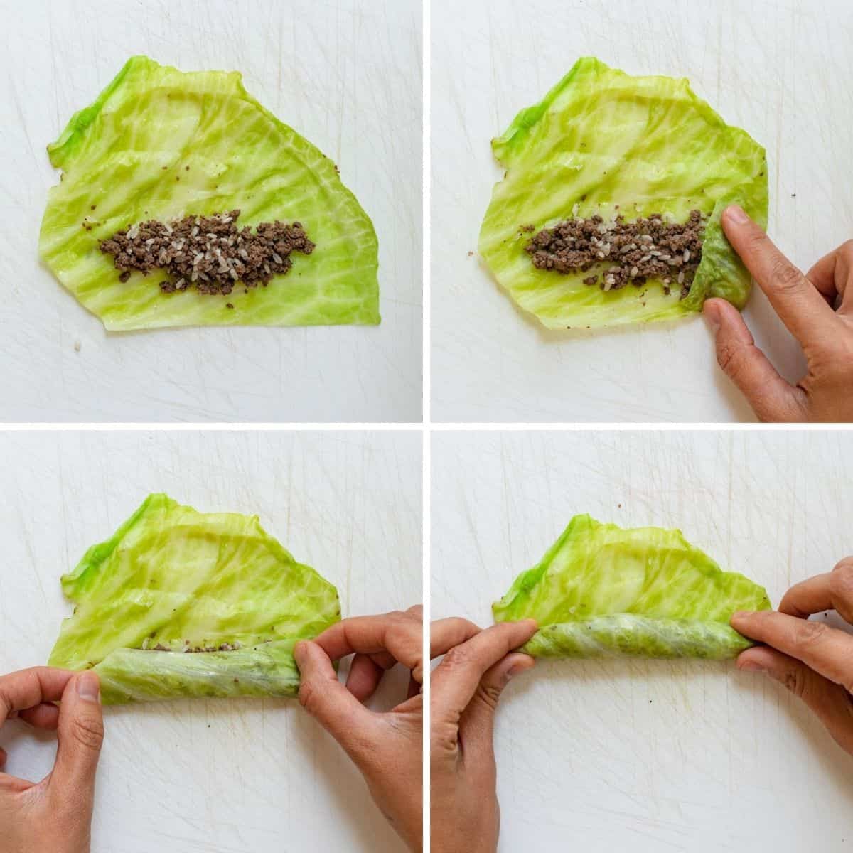 stuffed cabbage lettuce