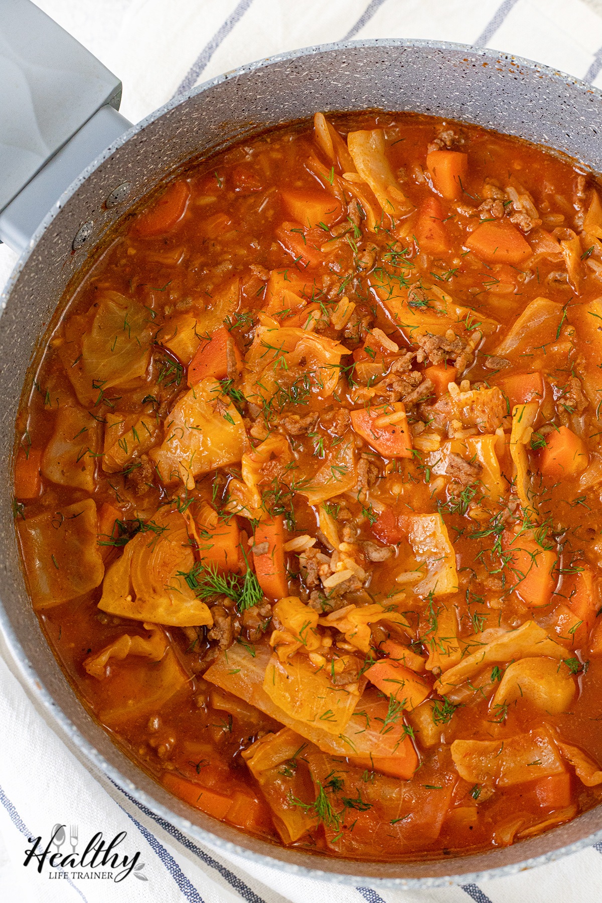 cabbage soup with beef