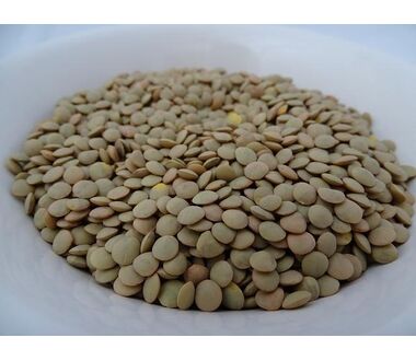 castilian beans