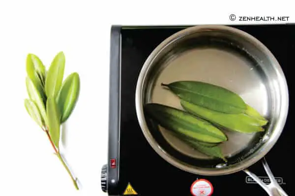 recipe for making bay leaf tea